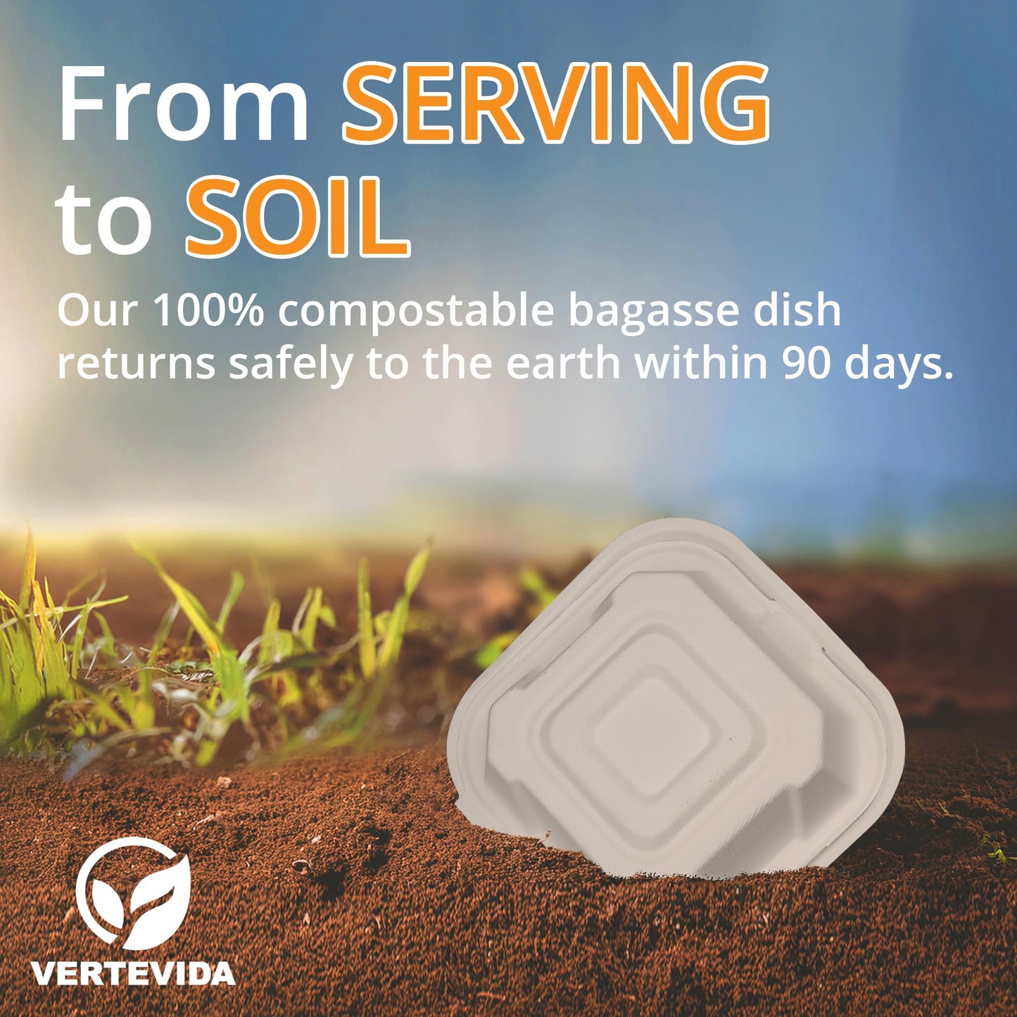 6x6 Compostable Clamshell Take Out Containers [50 Pack] - Disposable Food Containers | VerteVida
