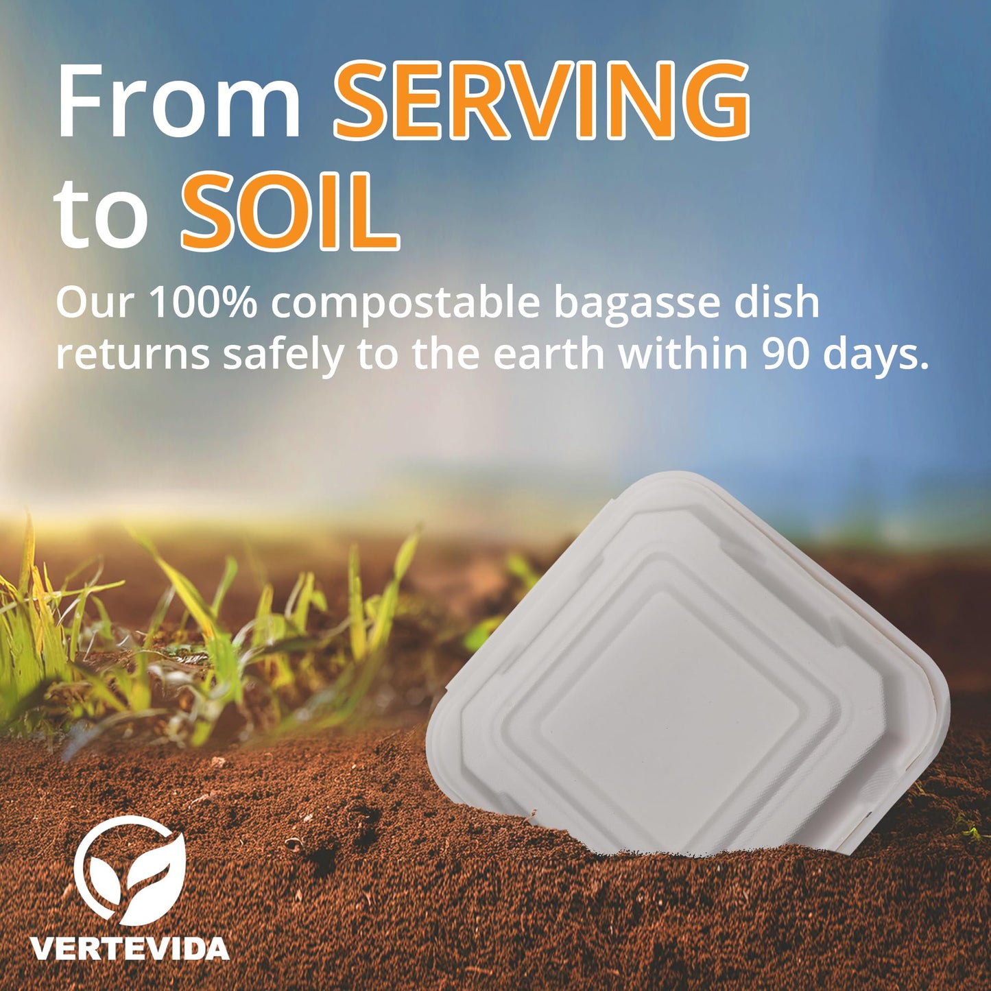 9x9 Compostable Clamshell Take Out Containers [50 Pack] - Extra Large Food Containers | VerteVida